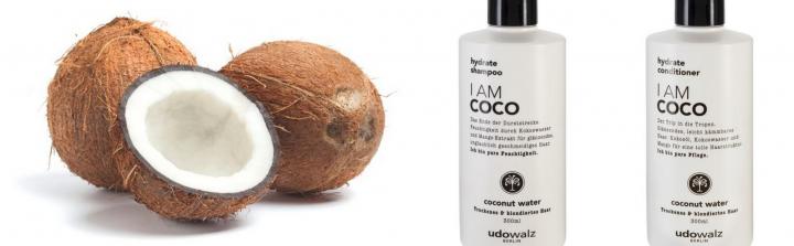 Udo Walz Hairfood – wegańskie kosmetyki do pielęgnacji włosów